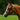 Lumi Pony Princess Bridle