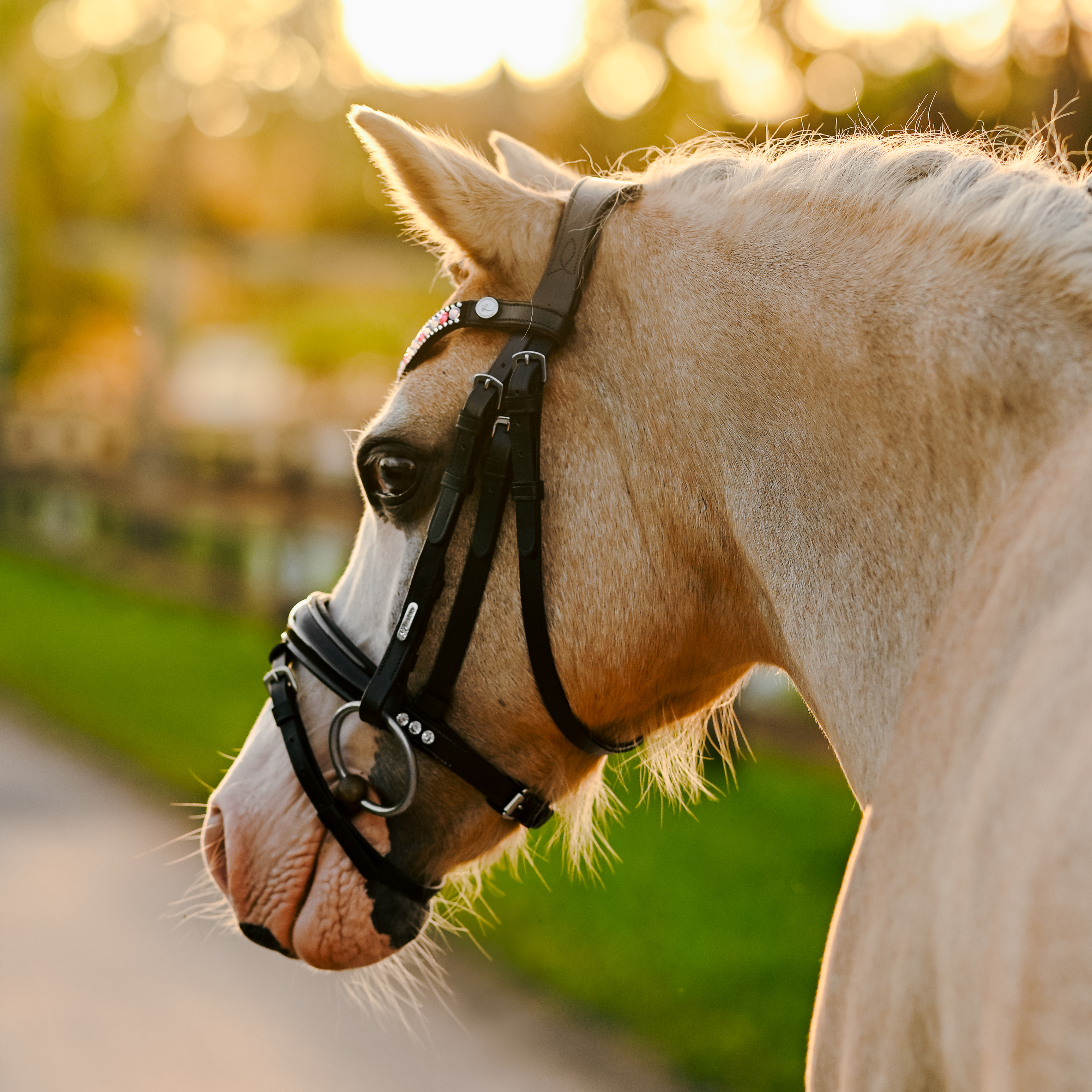 Lumi Pony Unicorn Bridle