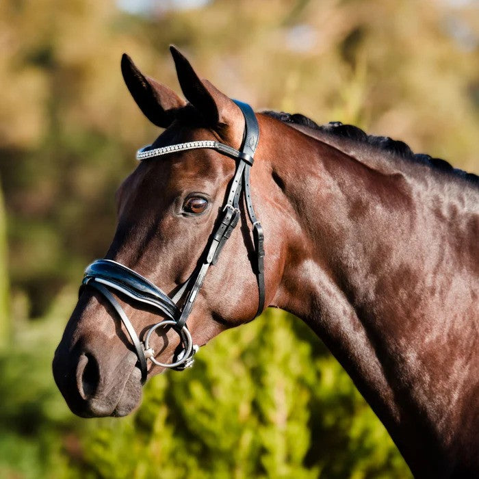 Lumiere Adeline Hanoverian Leather Bridle