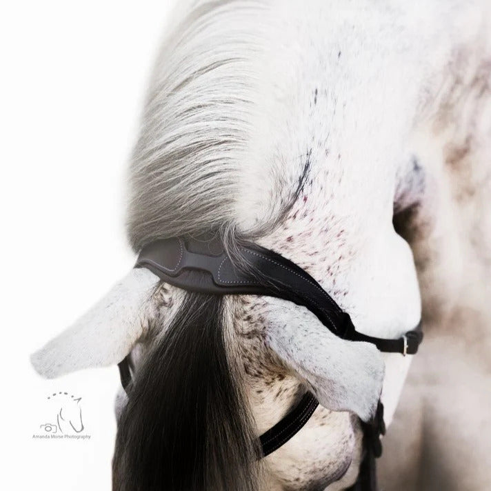 Lumiere Anatomic Monocrown Nappa Padding Headpiece - Equine Horse Wear 