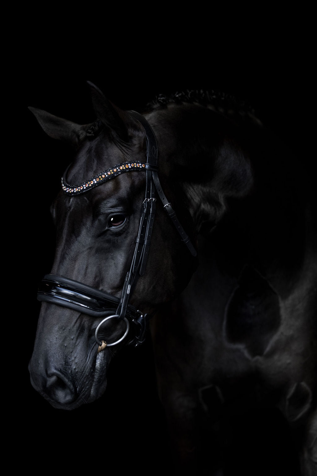 Lumiere Ariana Caveson Bridle - Equine Horse Wear 