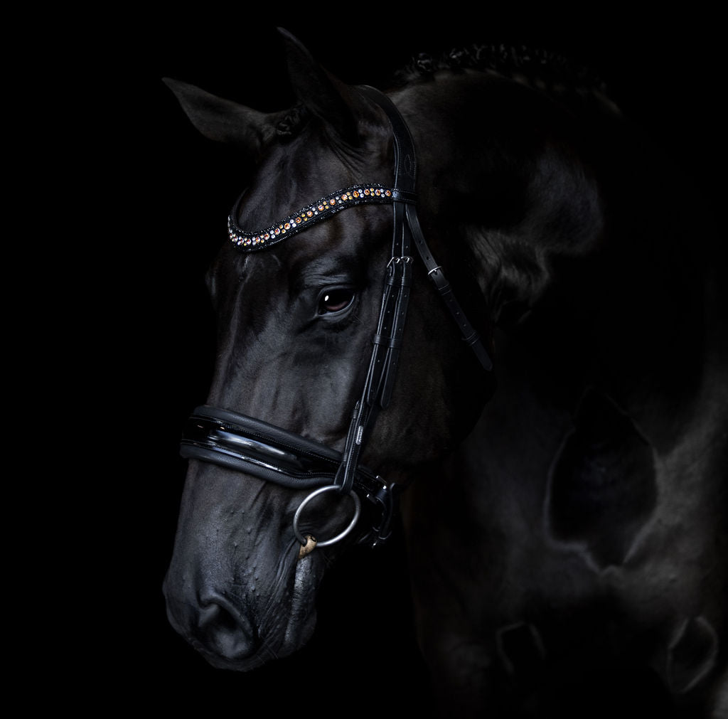 Lumiere Ariana Caveson Bridle - Equine Horse Wear 
