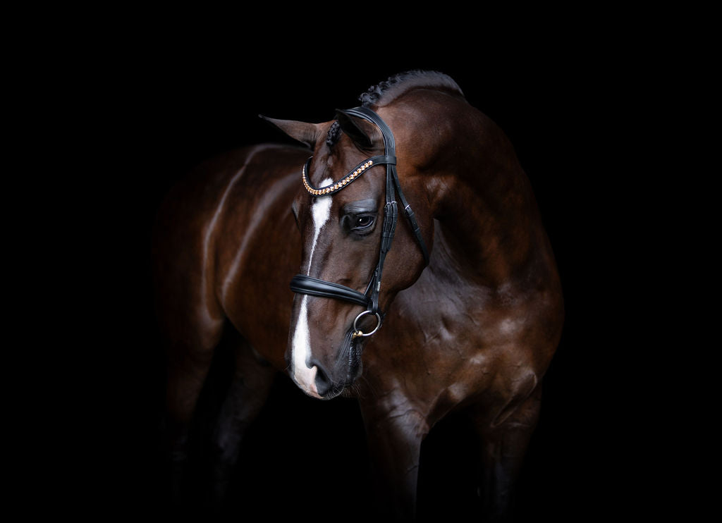 Lumiere Athens Leather Snaffle Bridle - Equine Horse Wear 