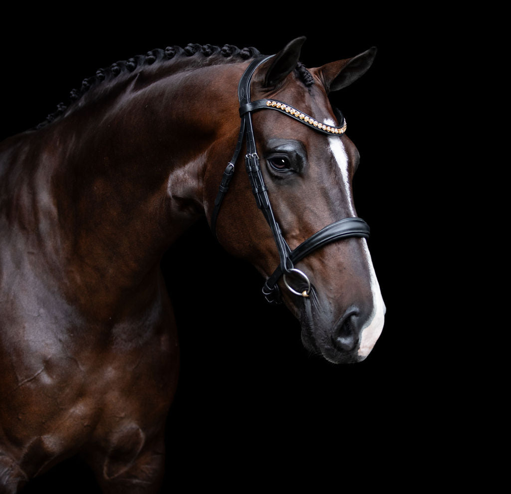 Lumiere Athens Leather Snaffle Bridle - Equine Horse Wear 