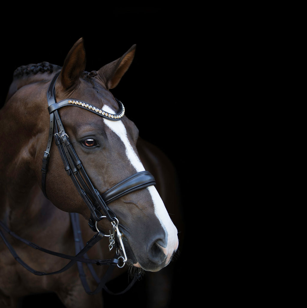 Lumiere Athens Luxury Leather Double Bridle - Equine Horse Wear 