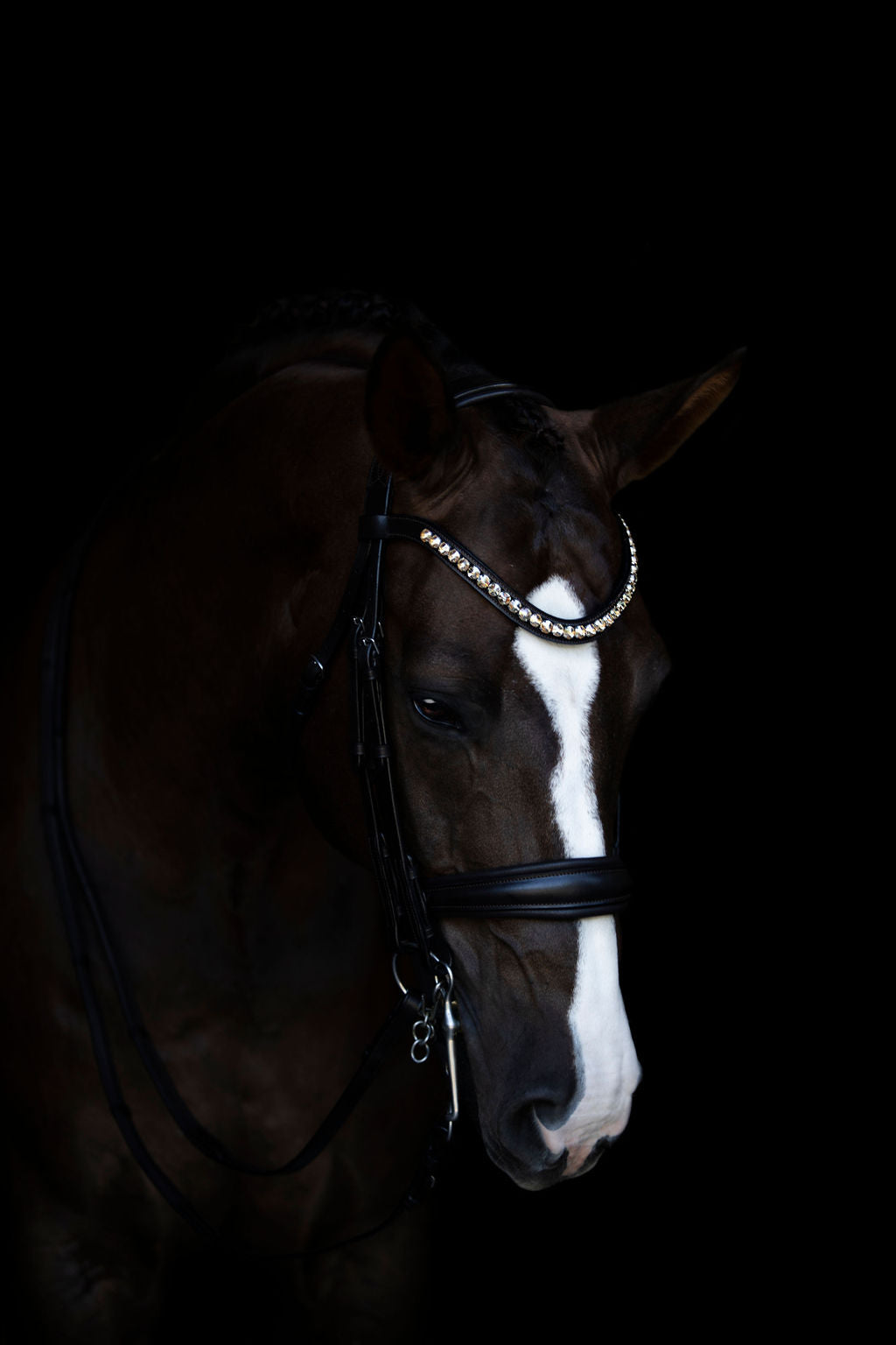 Lumiere Athens Luxury Leather Double Bridle - Equine Horse Wear 