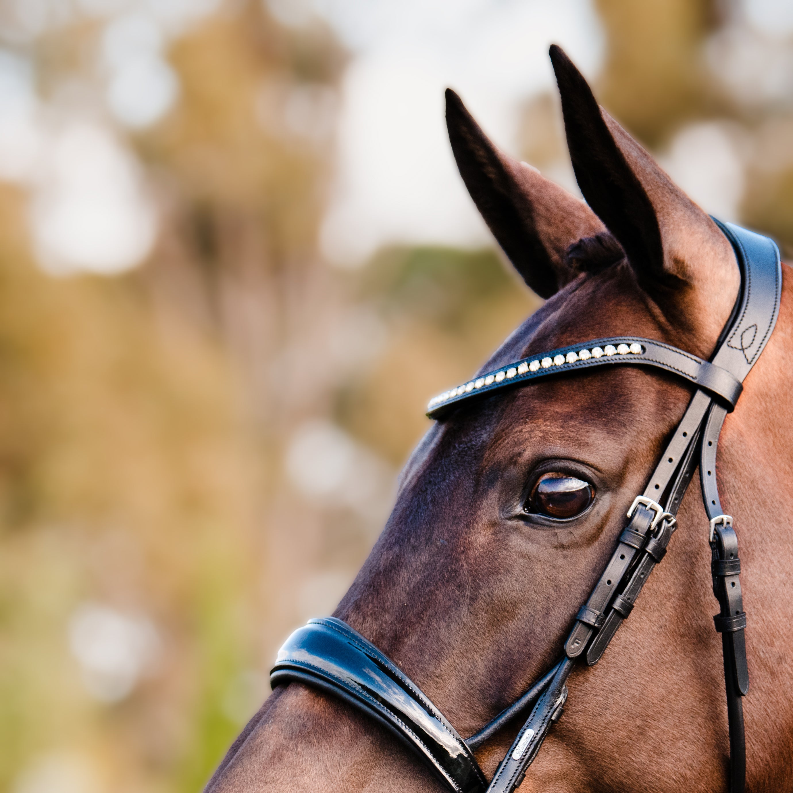 Lumiere Aurelie Rolled Leather Cavesson Bridle - Equine Horse Wear 