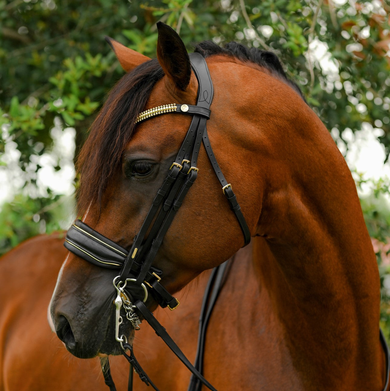 Lumiere Delta Double Bridle - Equine Horse Wear 