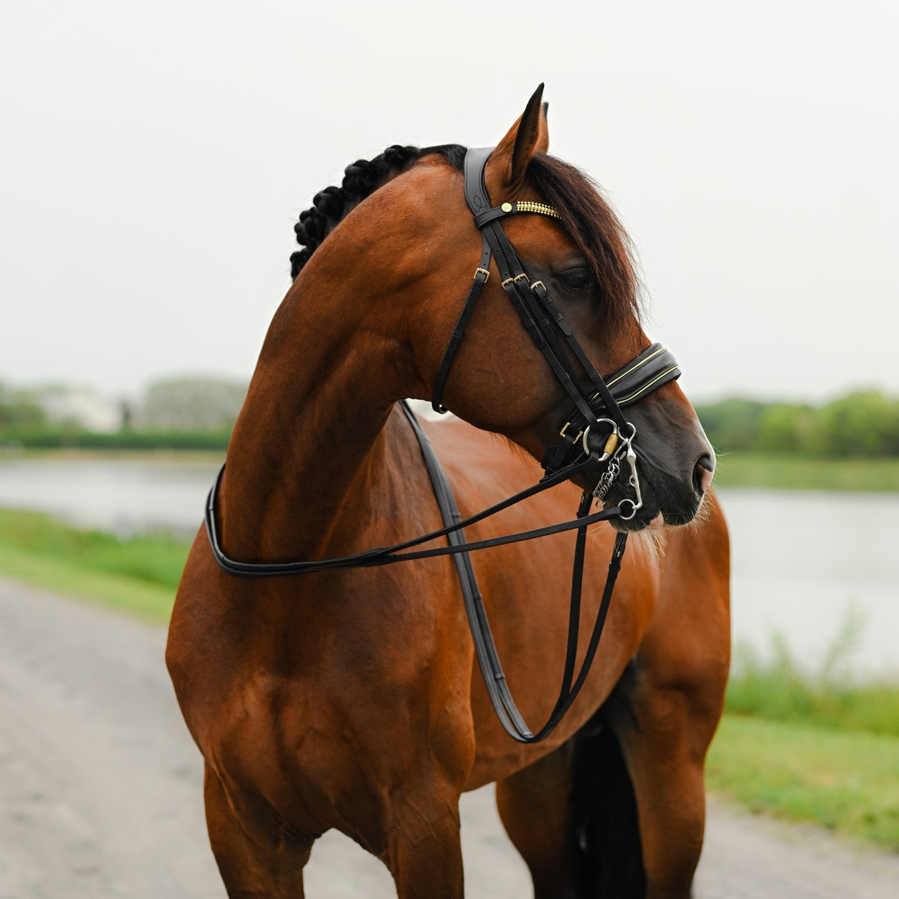 Lumiere Delta Double Bridle - Equine Horse Wear 