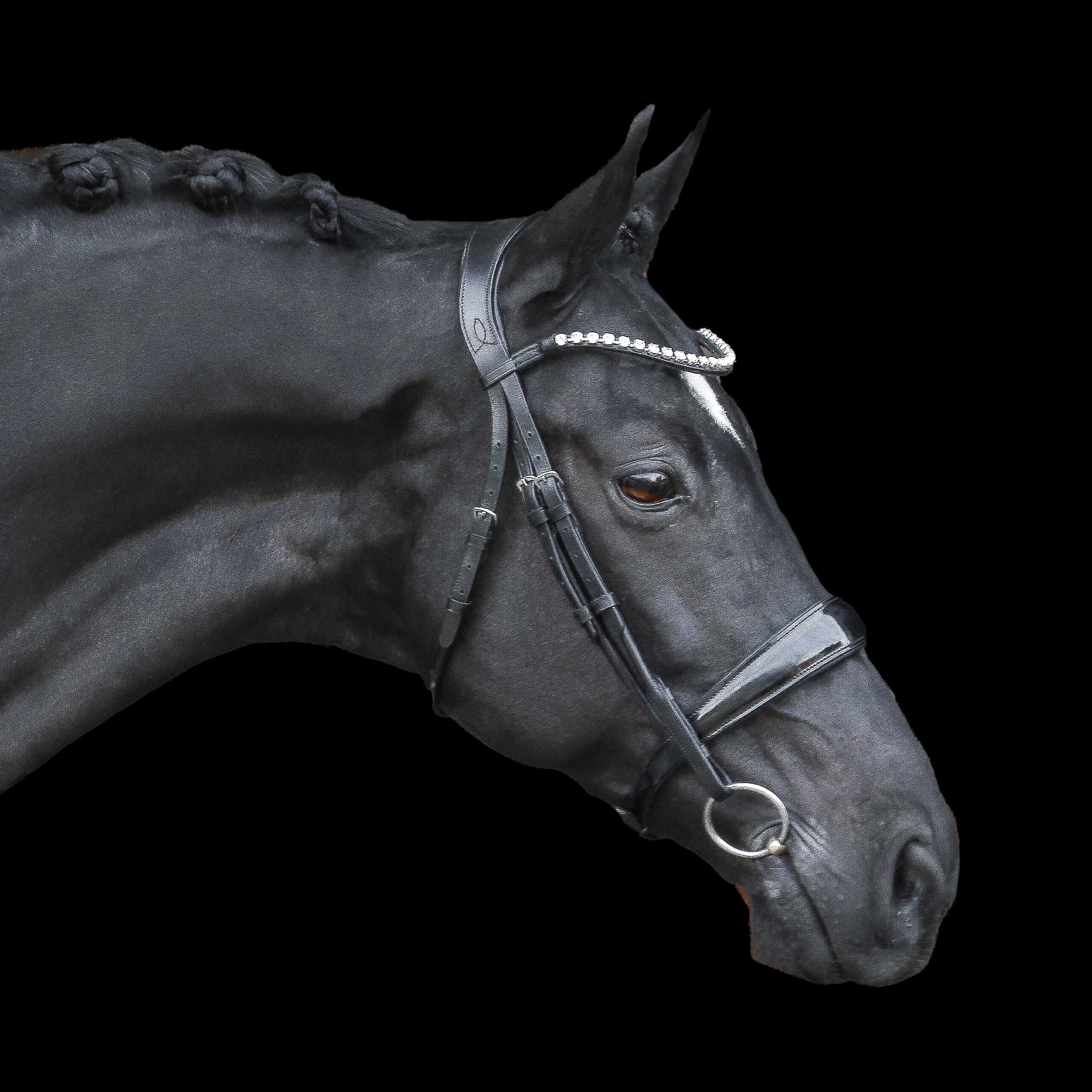 Lumiere Diamante Crystal Smaller Loop Browband - Equine Horse Wear 