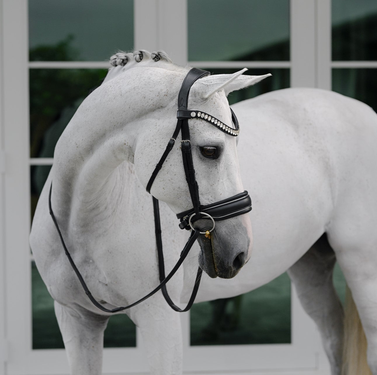 Lumiere Diva Cavesson Bridle - Equine Horse Wear 