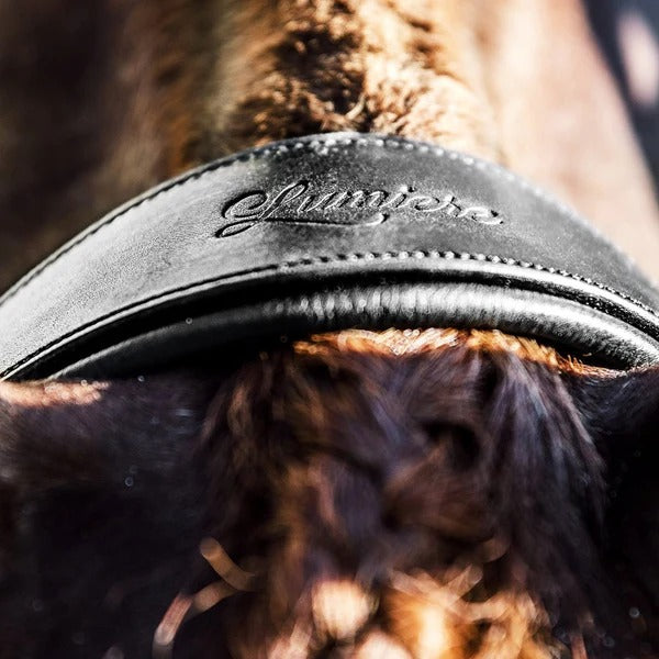 Lumiere Double Bridle Broad Headpiece - Equine Horse Wear 