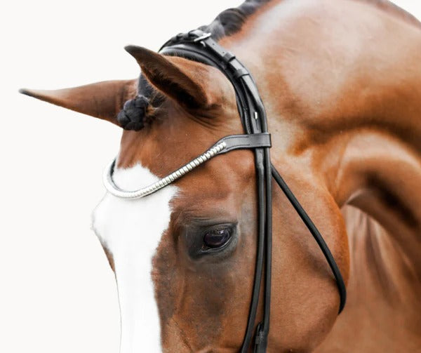 Lumiere Magnifique Browband - Equine Horse Wear 