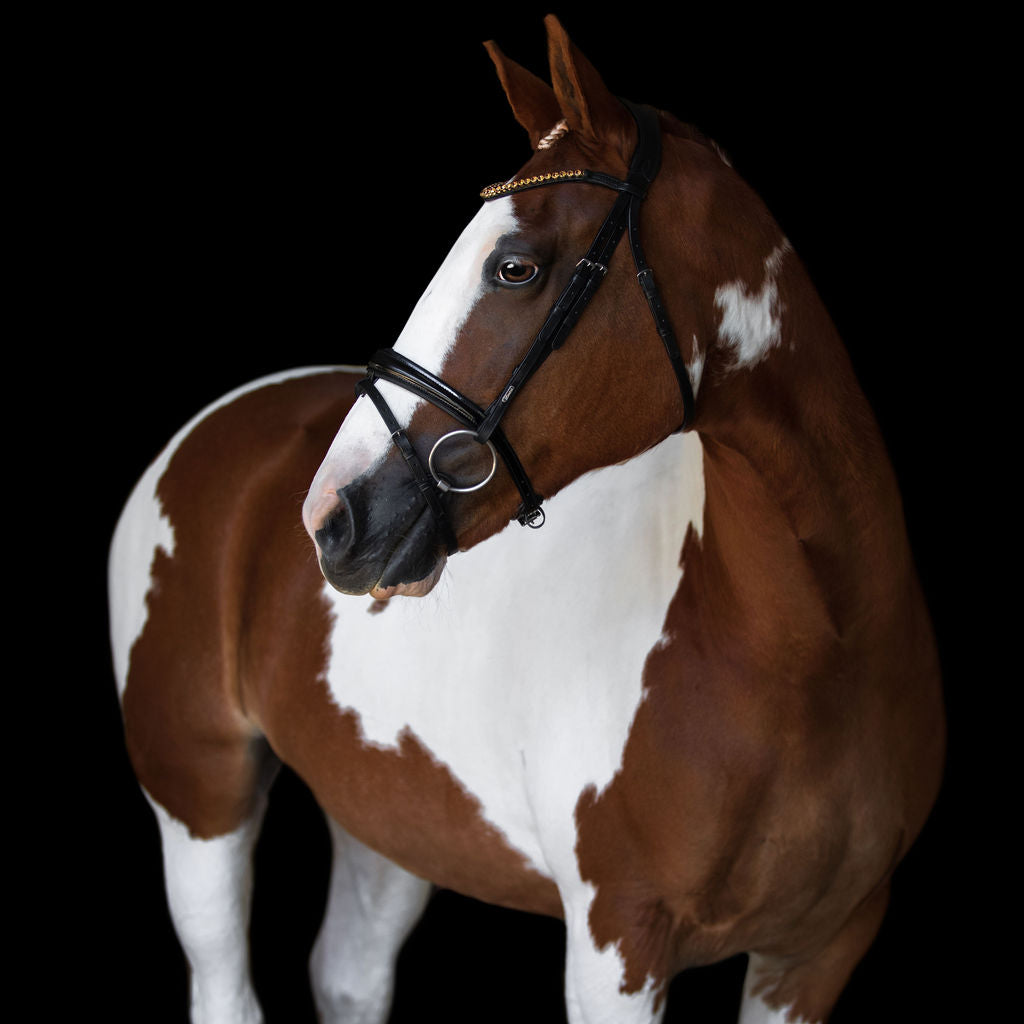 Lumiere Margaux Bridle