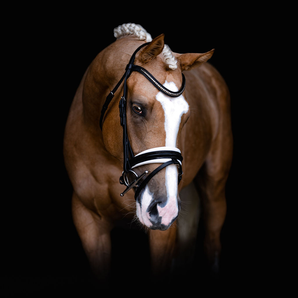 Lumiere Melodie White Padded Bridle - Equine Horse Wear 