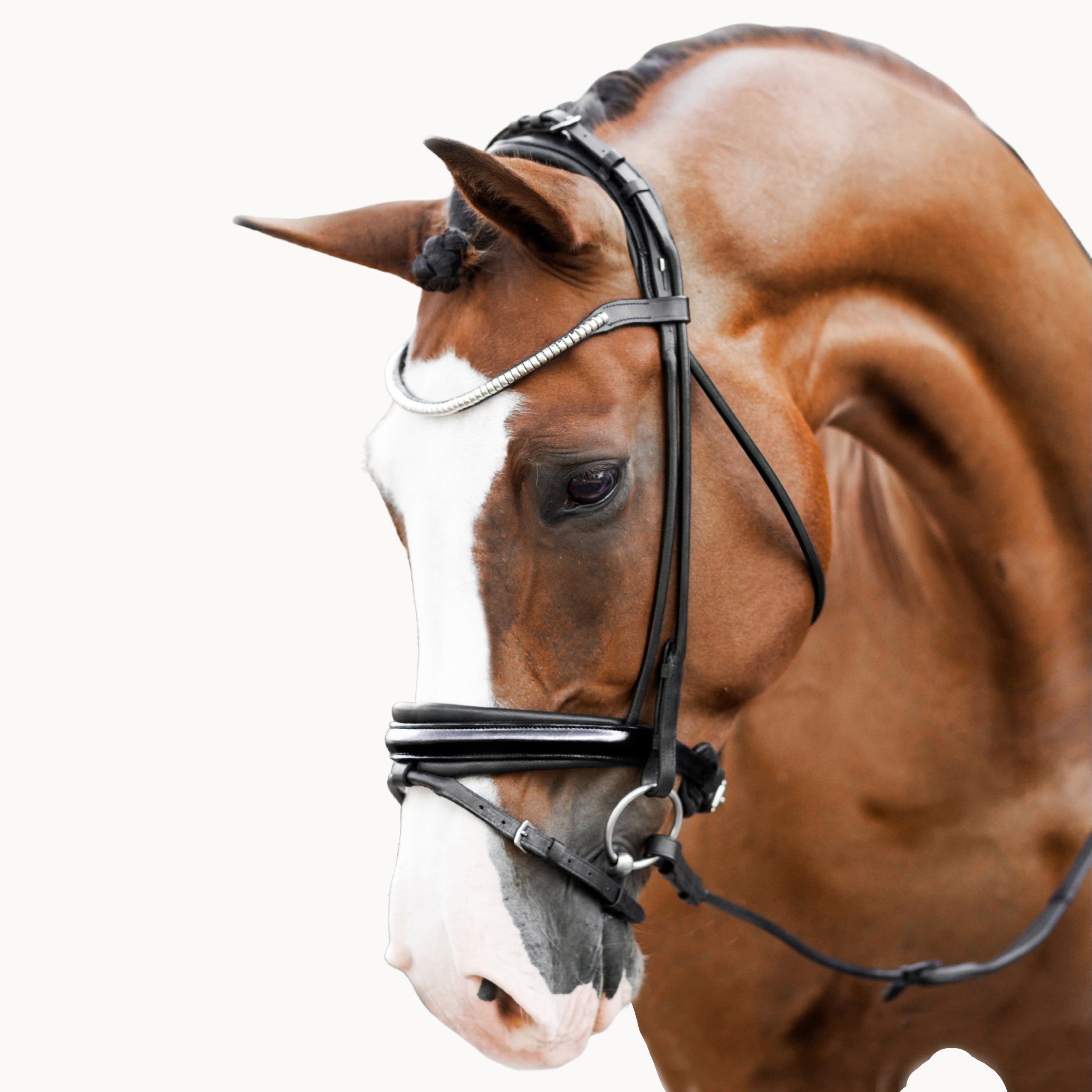 Lumiere Mercie Rolled Patent Bridle