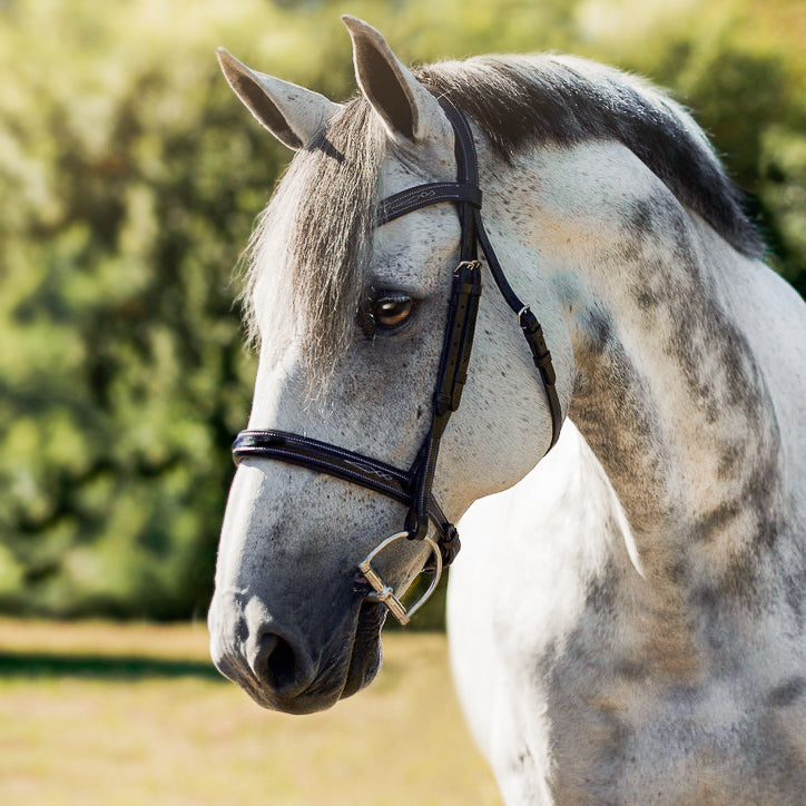 Lumiere Milan Convertible Leather Bridle - Equine Horse Wear 