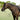Lumiere Perseus Leather Breastplate - Equine Horse Wear - Black / Cob
