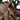 Lumiere Perseus Leather Halter - Equine Horse Wear - Black / Cob