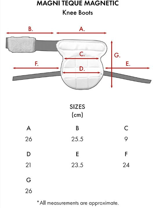 Premier Equine Magni-Teque Magnetic Horse Knee Boots