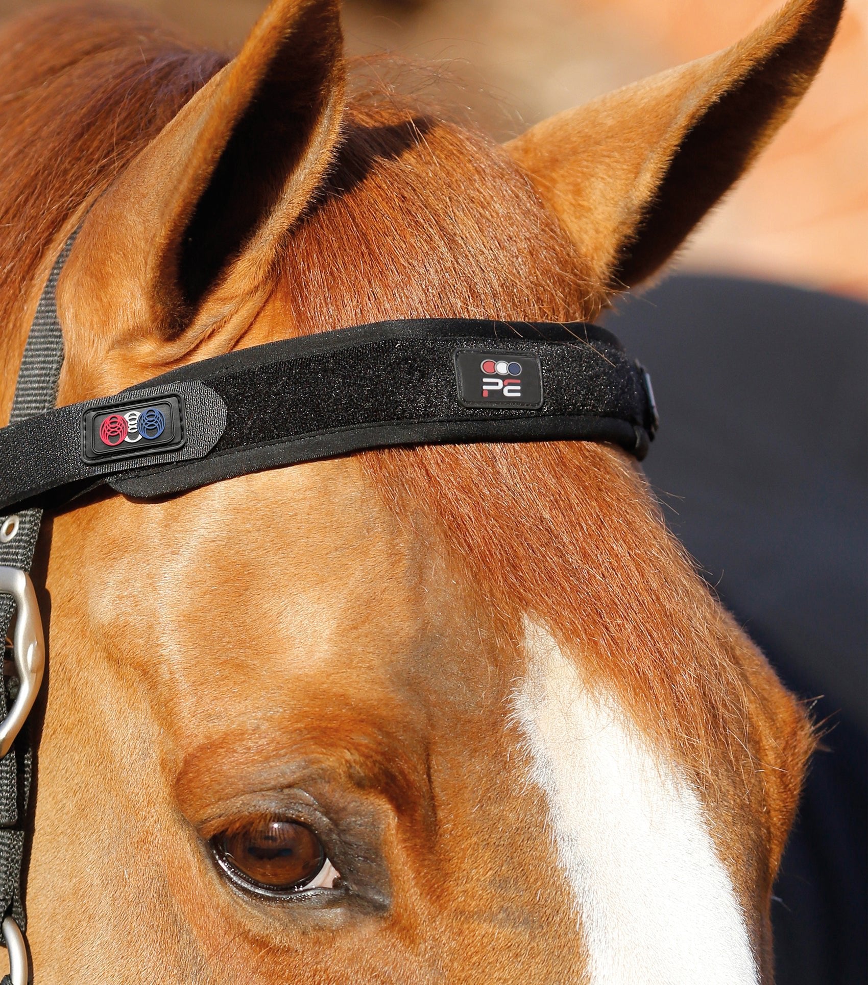 Premier Equine Magni-Teque Magnetic Browband