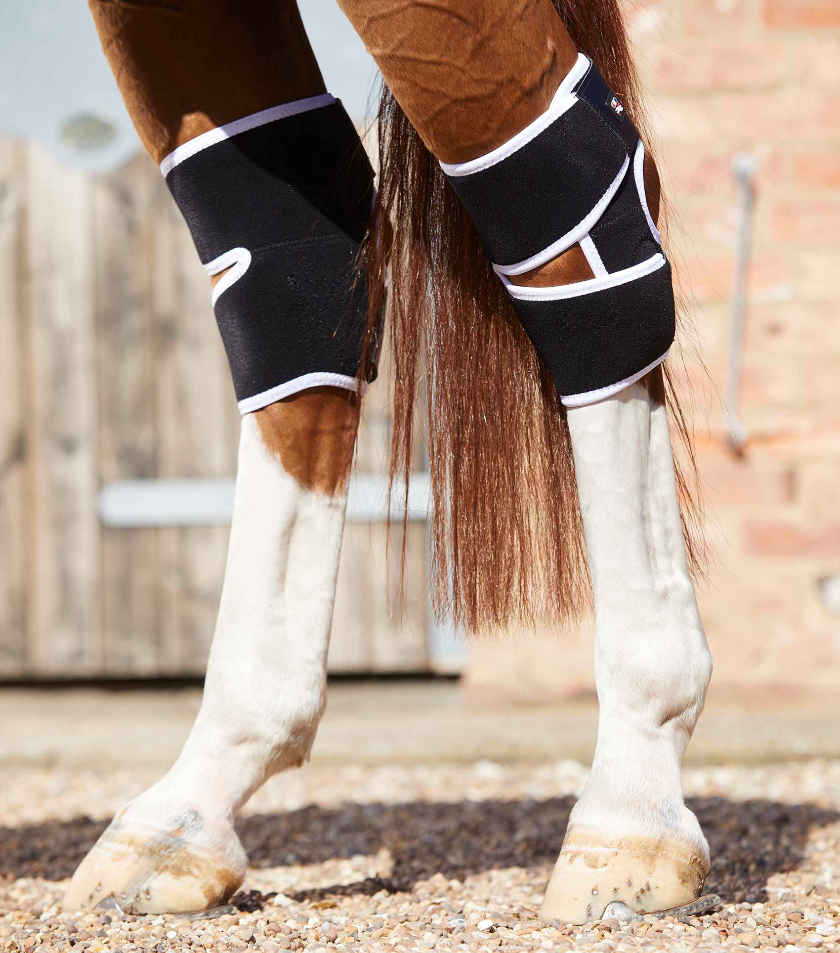 Premier Equine Magni-Teque Magnetic Hock Boots