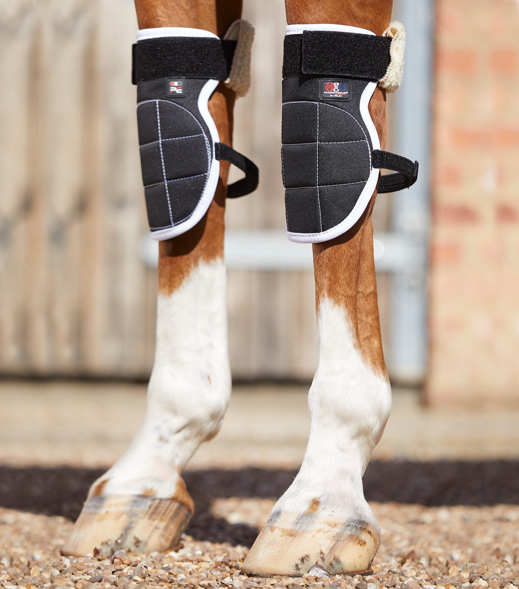 Premier Equine Magni-Teque Magnetic Horse Knee Boots