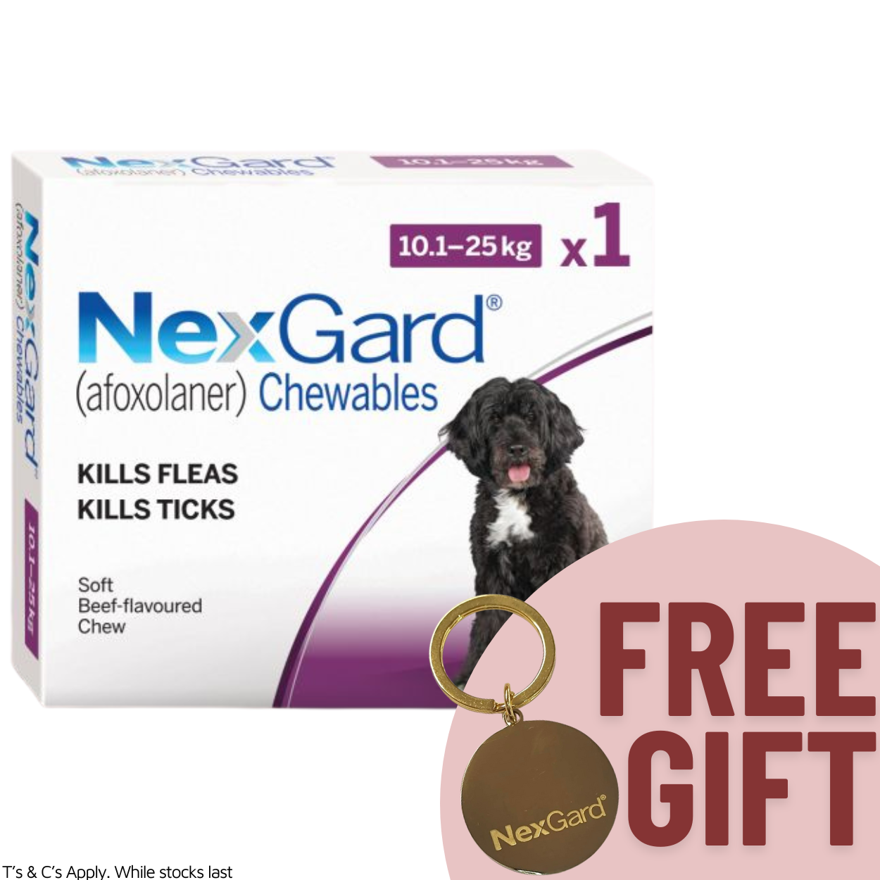 NexGard Chewable Dog 10.1-25kg Single