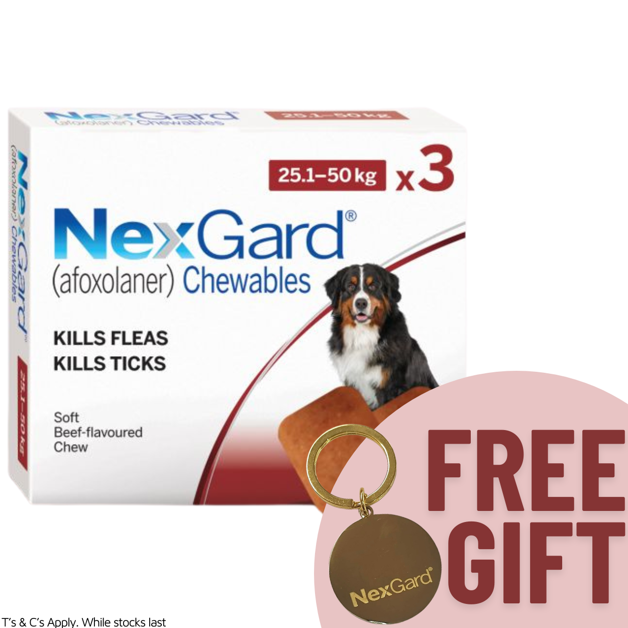 NexGard Chewable Dog 25-50KG 3 Pack