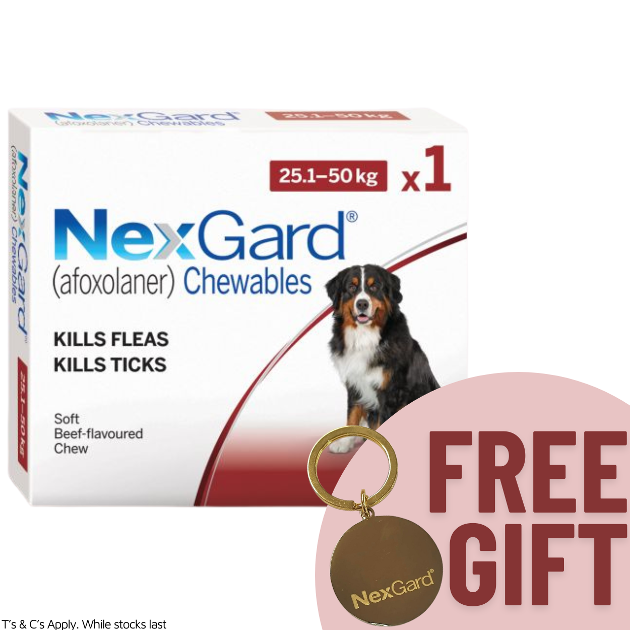 NexGard Chewable Dog 25-50KG Single