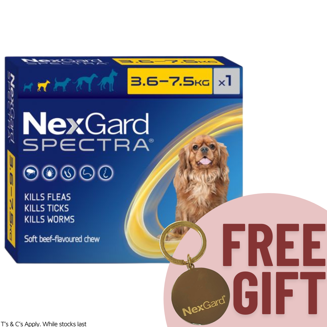 Nexgard Spectra Chewable Dog 3.6-7.5KG Single