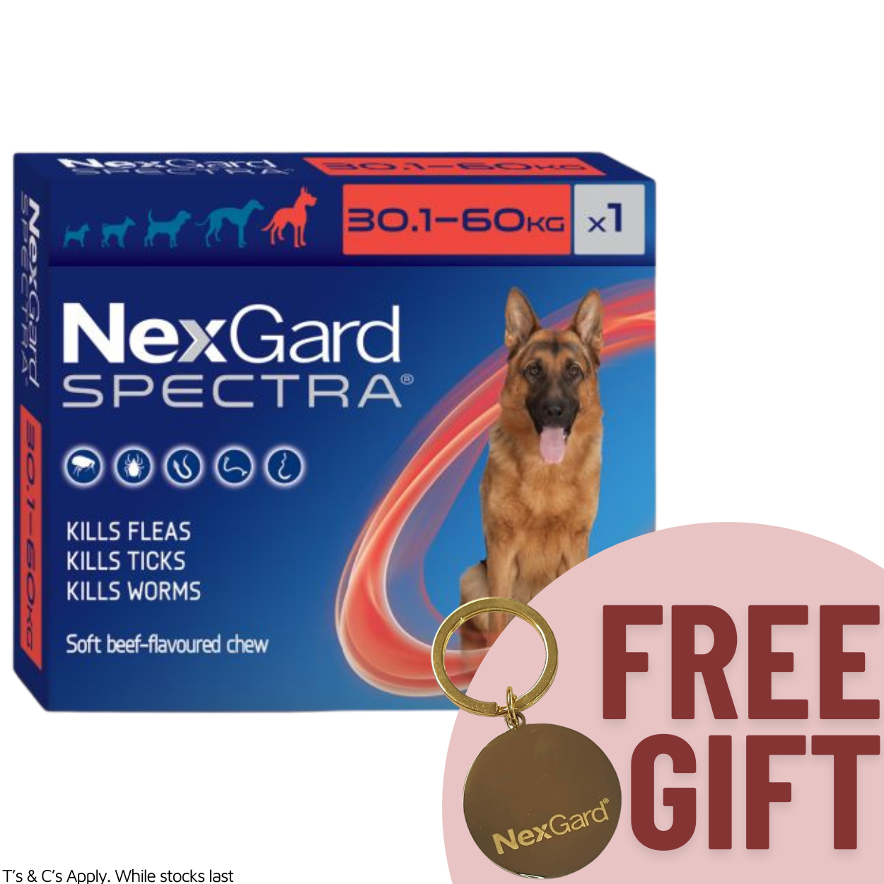 Nexgard Spectra Chewable Dog 30.1-60KG Single