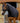 Premier Equine Stretch Lycra Hood