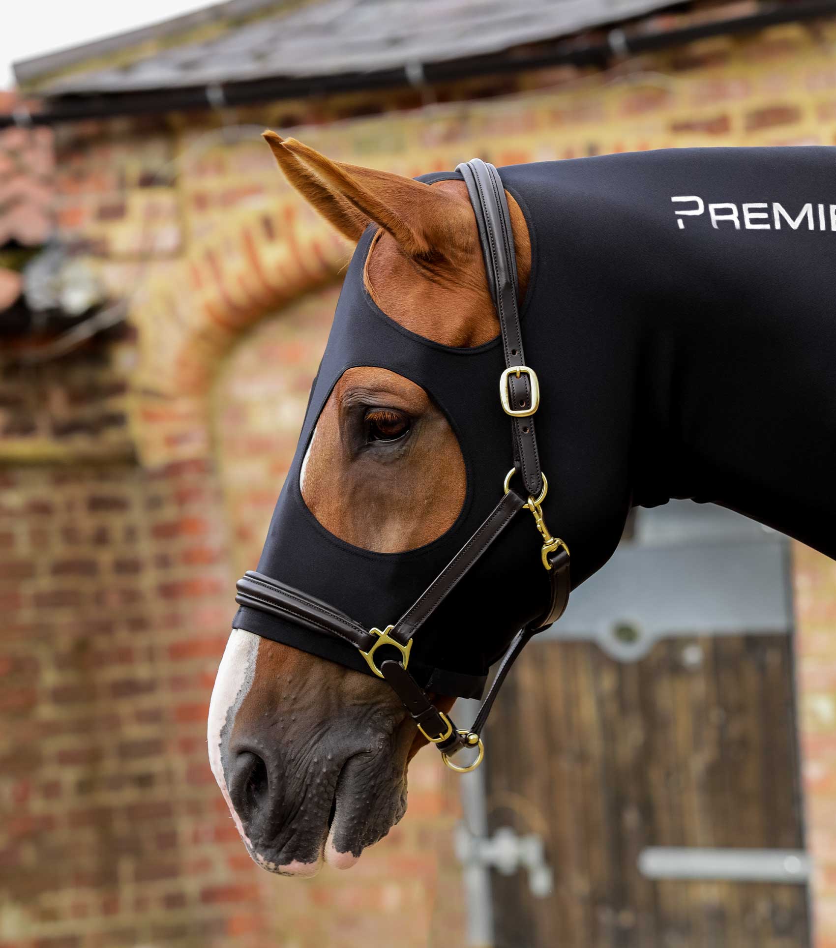 Premier Equine Stretch Lycra Hood