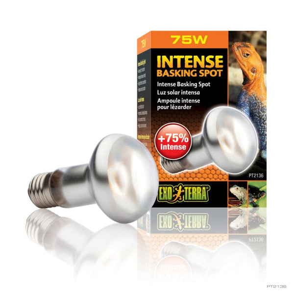 Exo Terra Intense Basking Bulb 75w