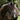 Perseus bridle (convertible) - Equine Horse Wear - Black / Cob