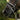 Perseus bridle (convertible) - Equine Horse Wear - Black / Cob