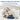 PetSafe Ultrasonic Bark Collar - Dog Training