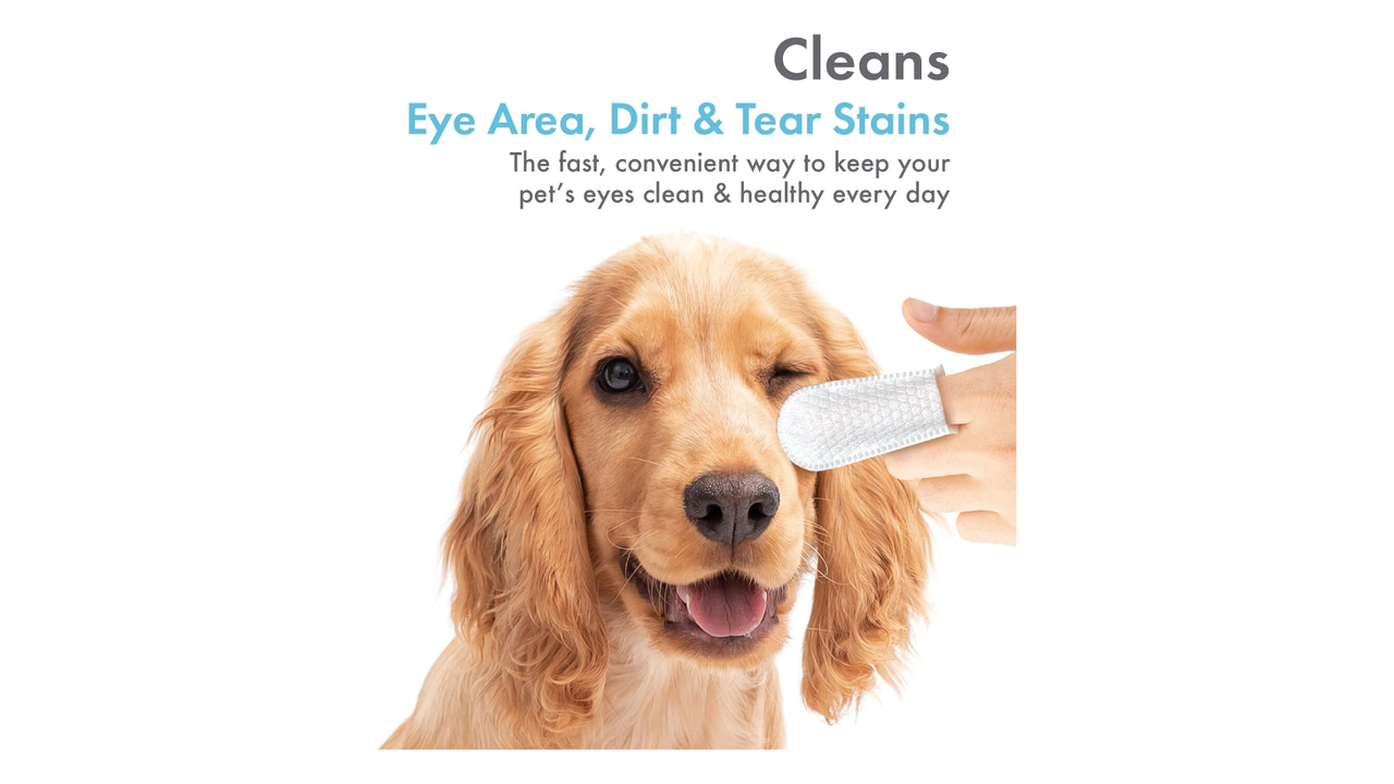 Petkin Fingertip Eye Wipes 50 Pack - Dog Health & Wellbeing 