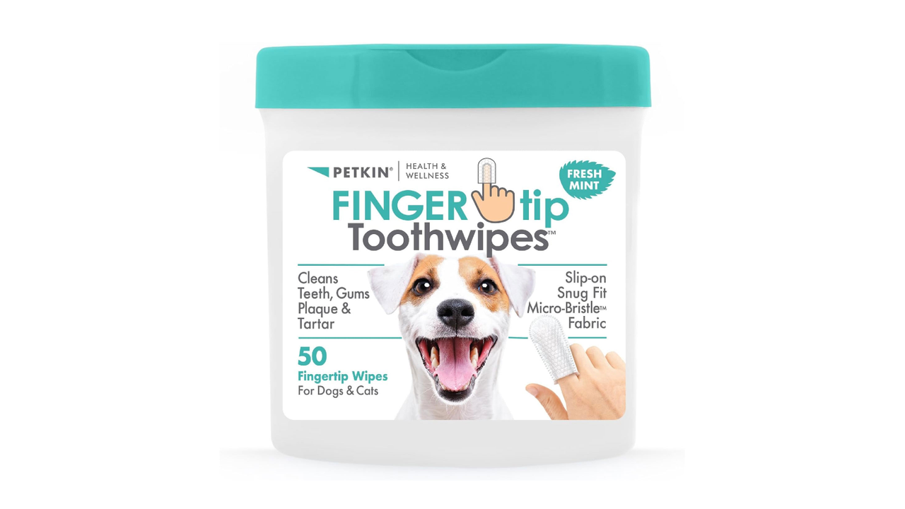 Petkin Fingertip Tooth Wipes Mint 50 Pack - Dog Health & Wellbeing 