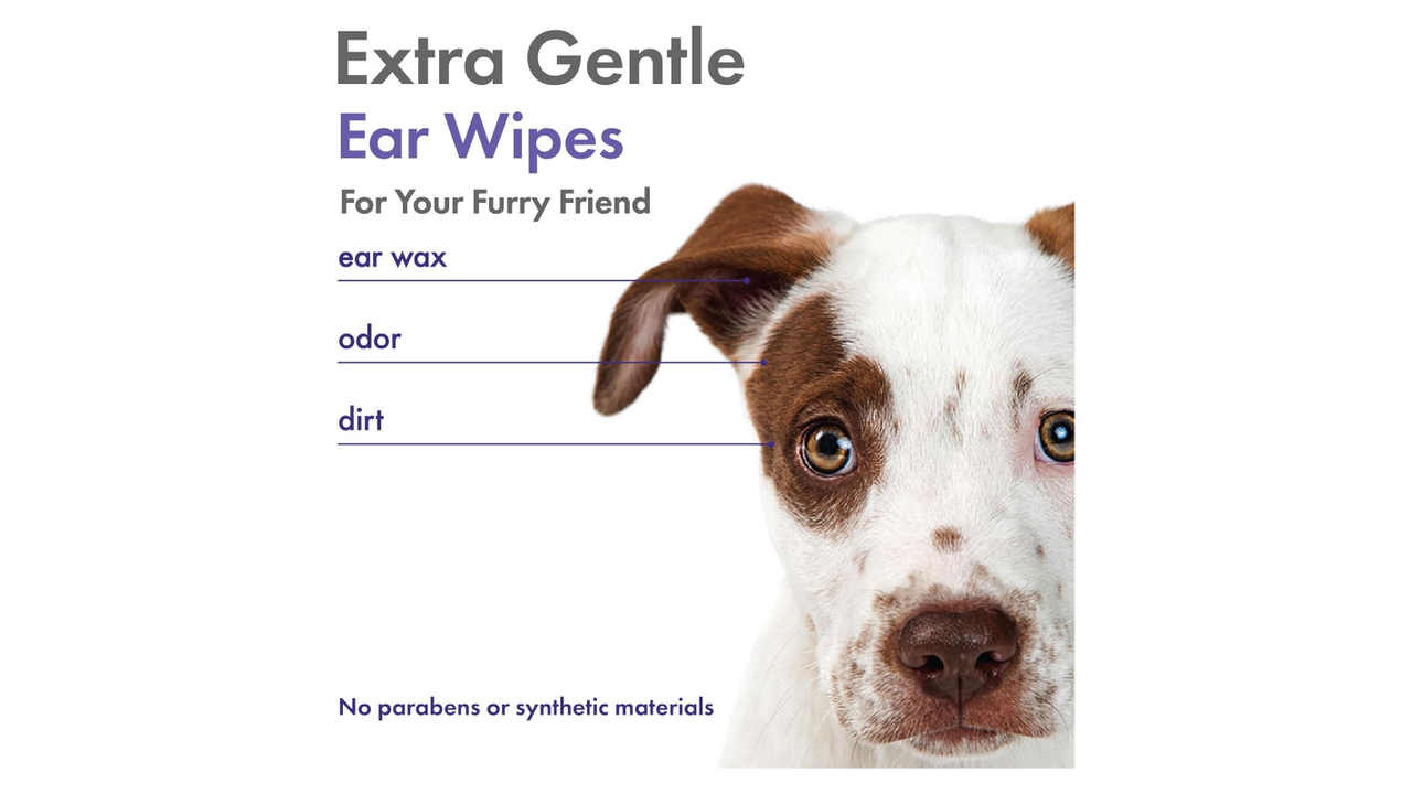 Petkin Plant Based Ear Wipes Lavender 80 Pack - Dog Health & Wellbeing 