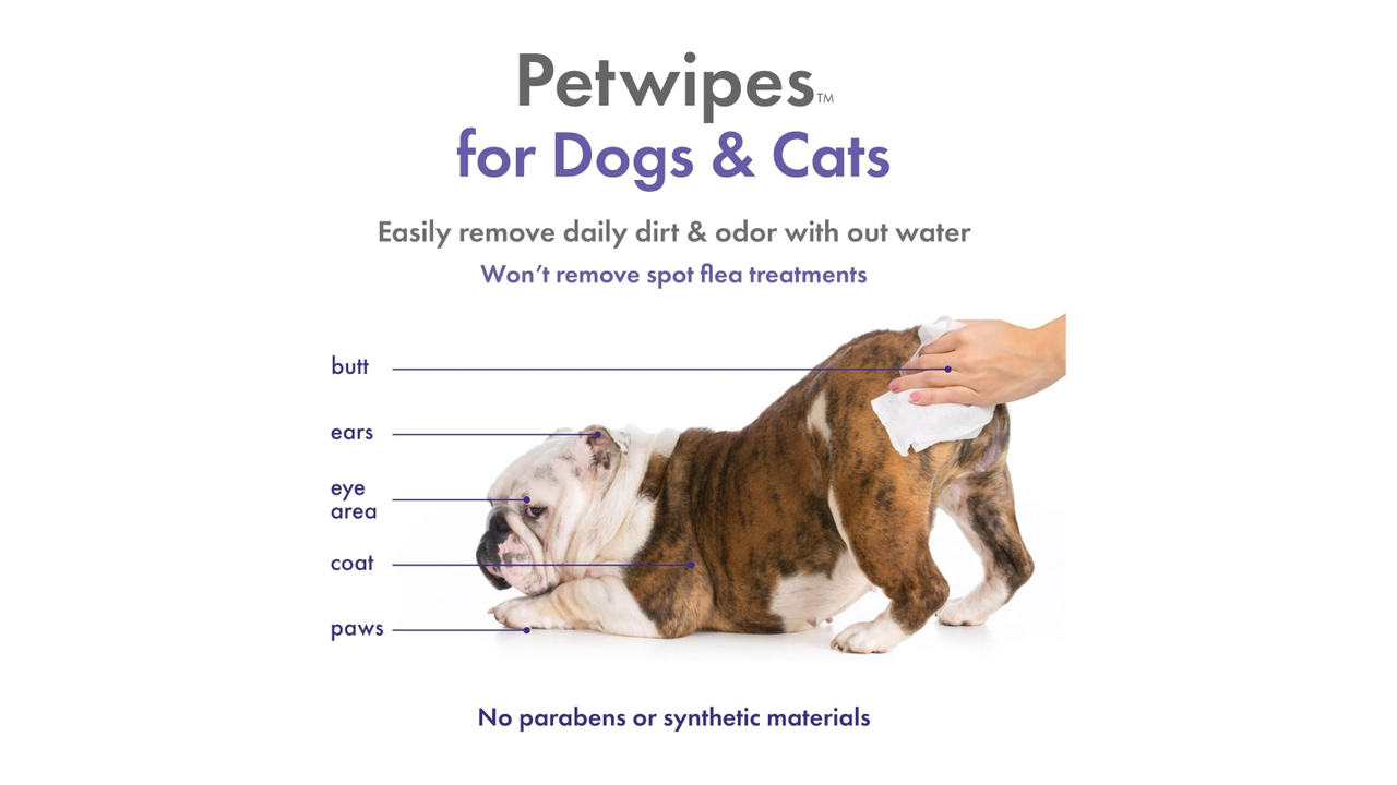 Petkin Plant Based Pet Wipes Lavender 100 Pack - Dog Health & Wellbeing 