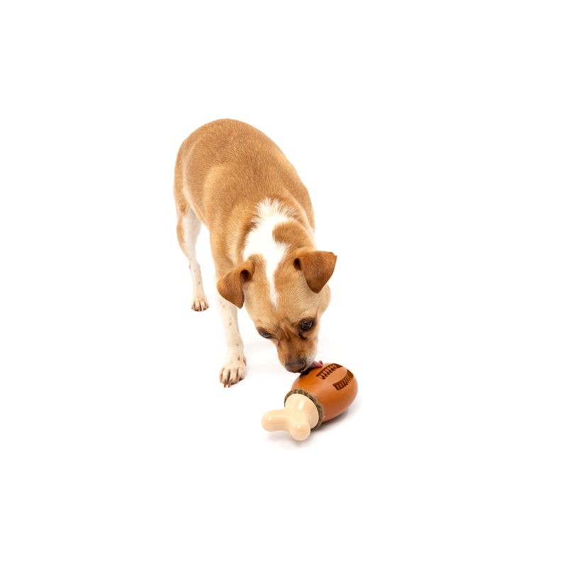 Petsafe Busy Buddy Chompin Chicken - Dog Toys 