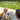 Petsafe Core Trainer 300m - Dog Training