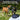Petsafe Core Trainer 300m - Dog Training
