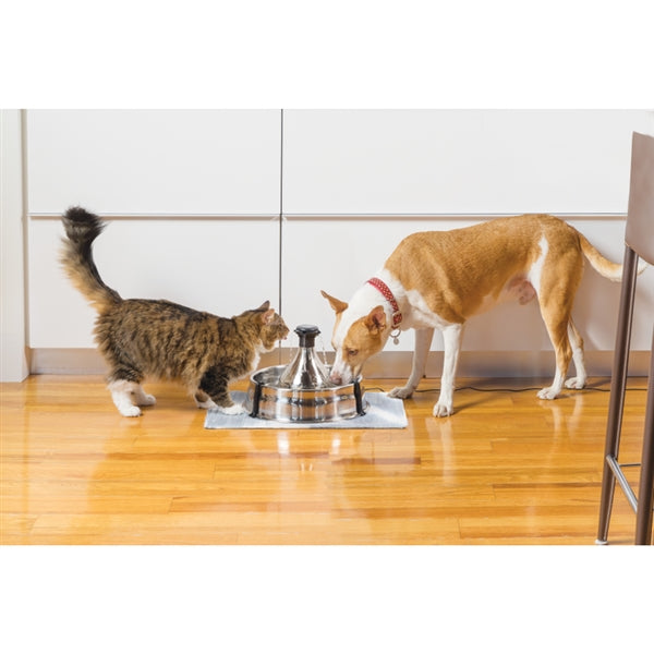 Petsafe Drinkwell 360 Stainless Steel Fountain 3.8L - Cat Bowls & Feeding Accessories 