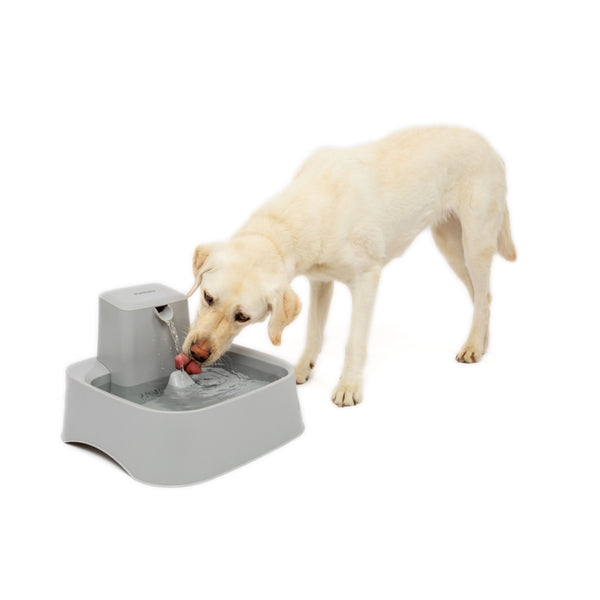 Petsafe Drinkwell Pet Fountain 7.5L - Cat Bowls & Feeding Accessories 