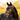 Pippa Bridle - Equine Horse Wear - Havana Brown / Cob