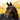 Pippa Bridle - Equine Horse Wear - Black / Cob