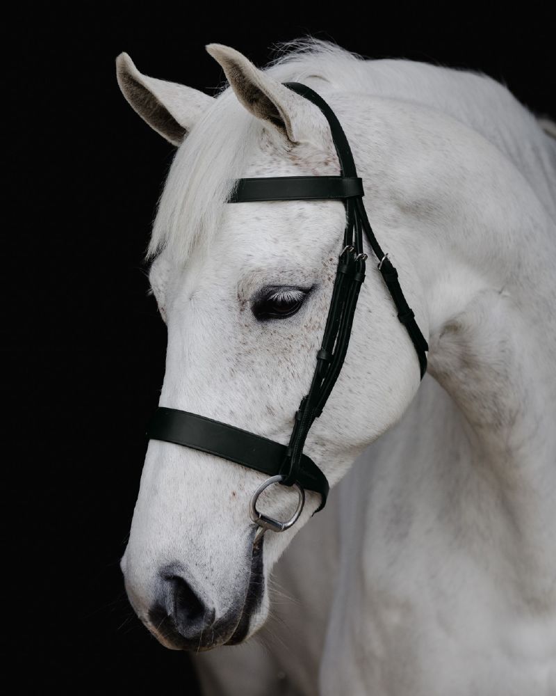 Platinum Show Bridle